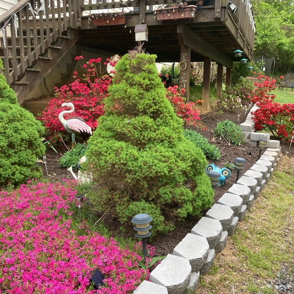 Meet your Posher, Missy - Picture 9 of 10